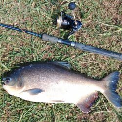 午後からのんびりと浜名湖フィッシングリゾートへ